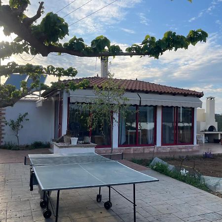 Country Lux Apartment Near Airport Markopoulo Mesogaias Exterior photo