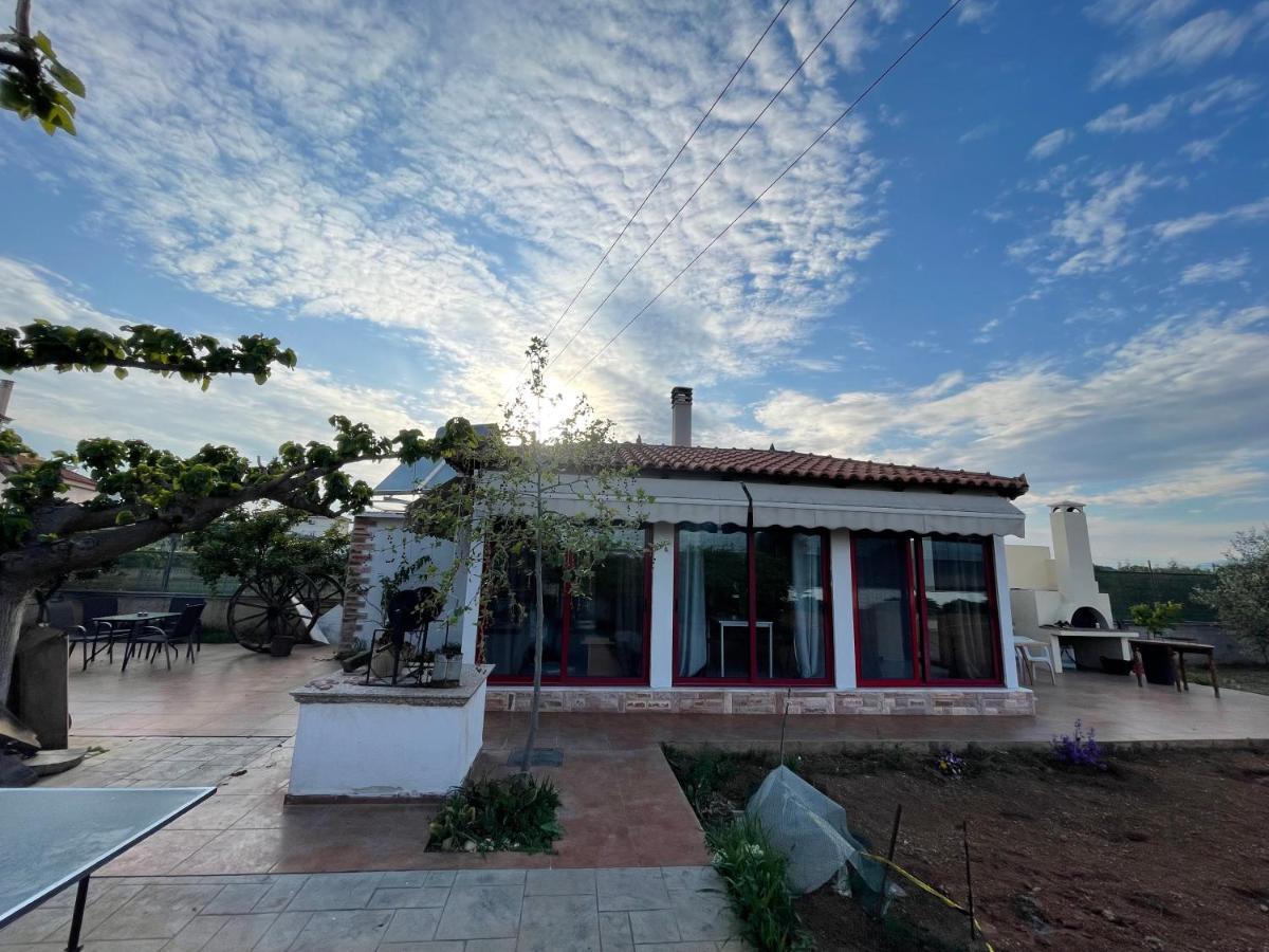 Country Lux Apartment Near Airport Markopoulo Mesogaias Exterior photo