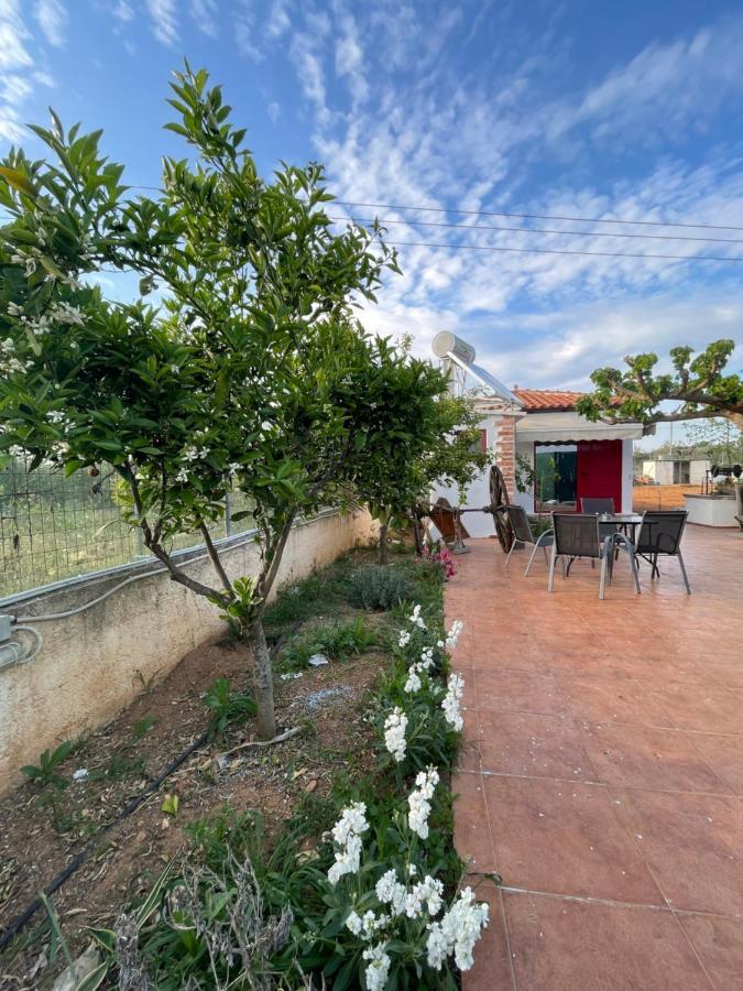 Country Lux Apartment Near Airport Markopoulo Mesogaias Exterior photo